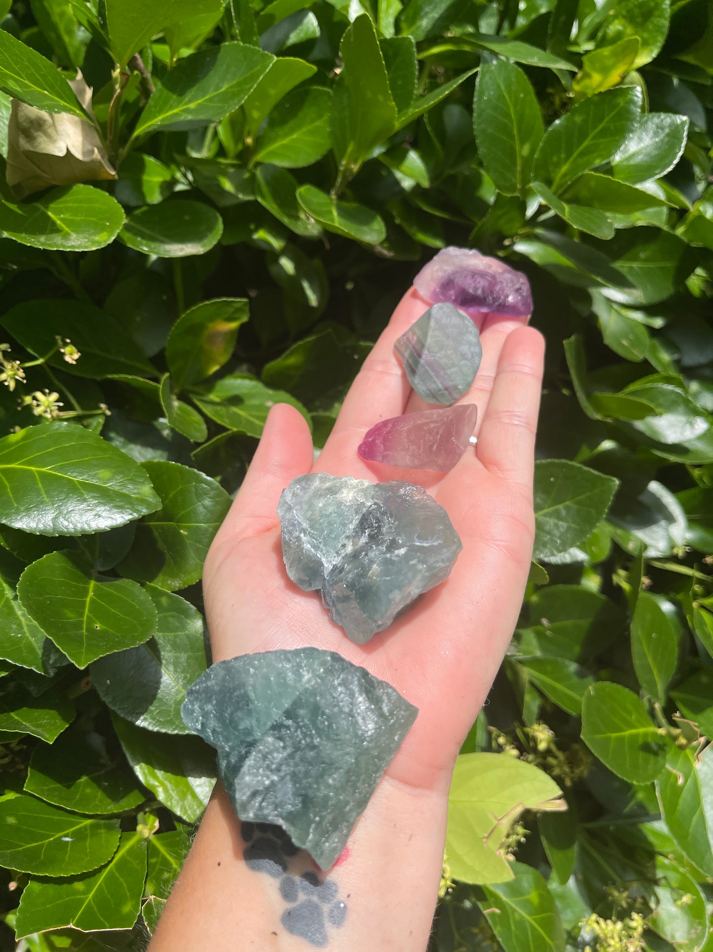 Raw Fluorite