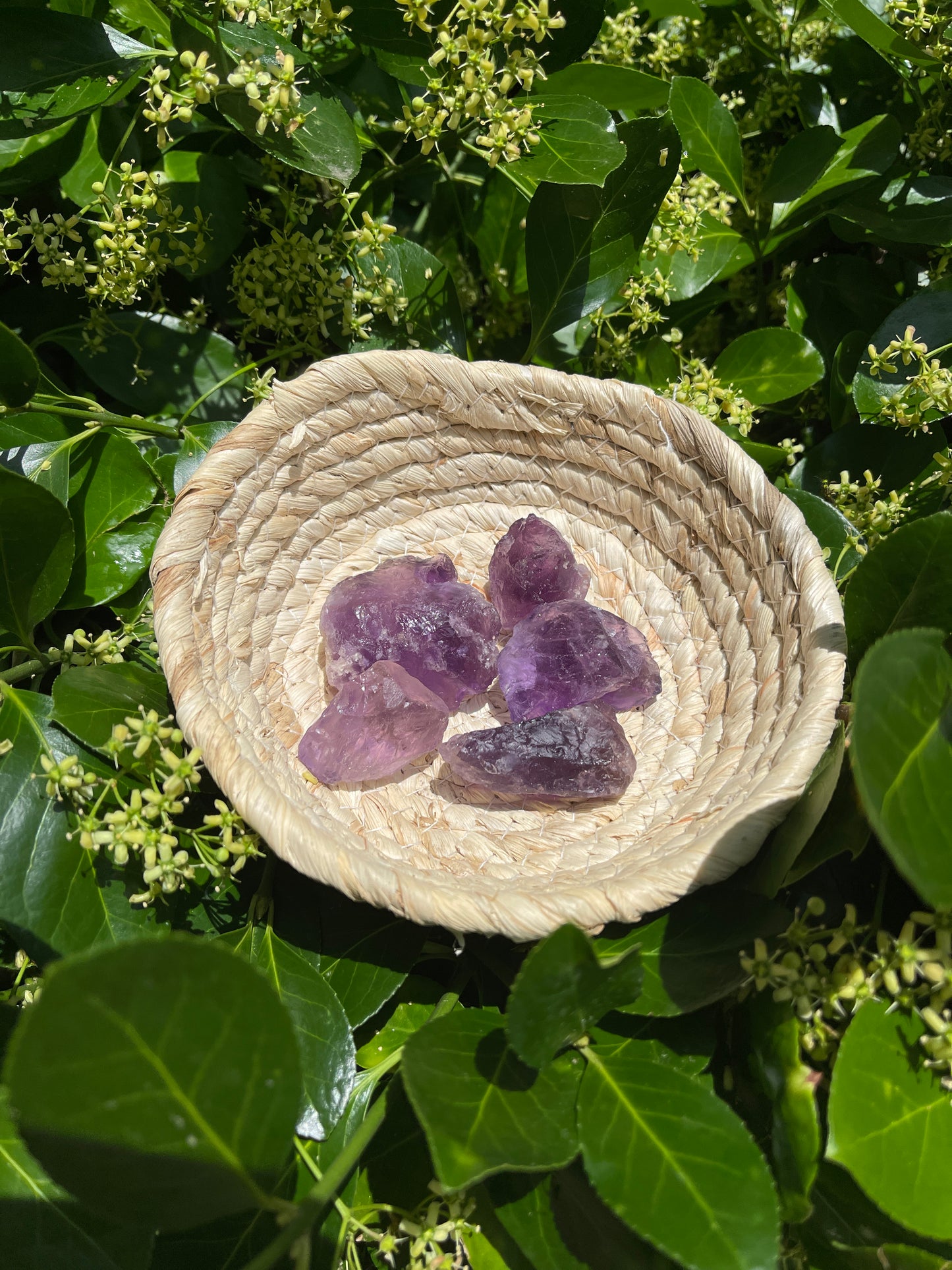 Raw Amethyst