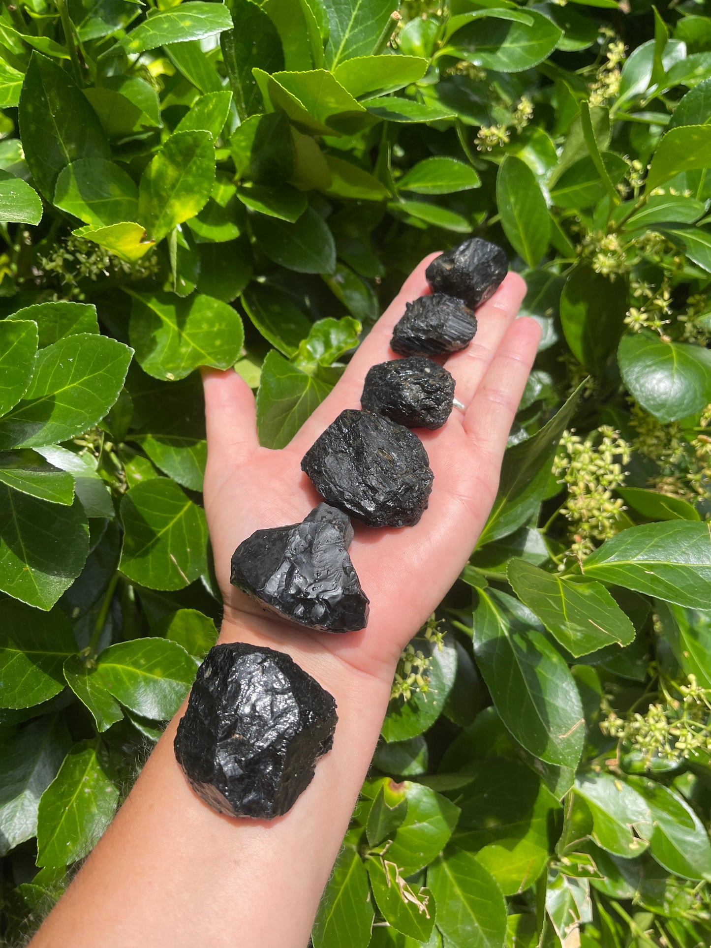 Raw Black Tourmaline