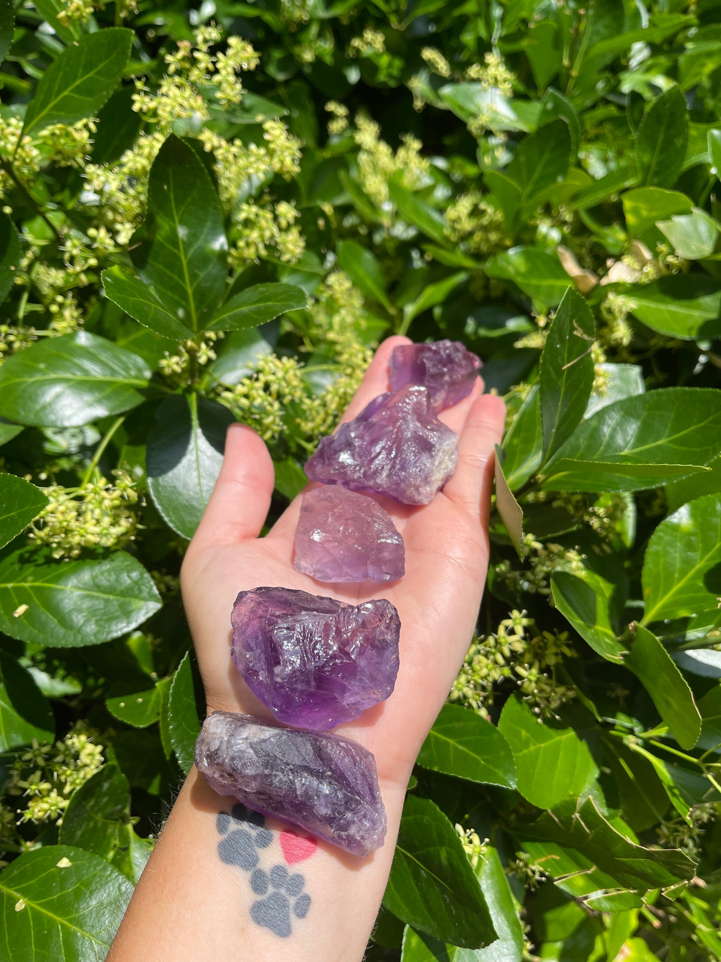 Raw Amethyst