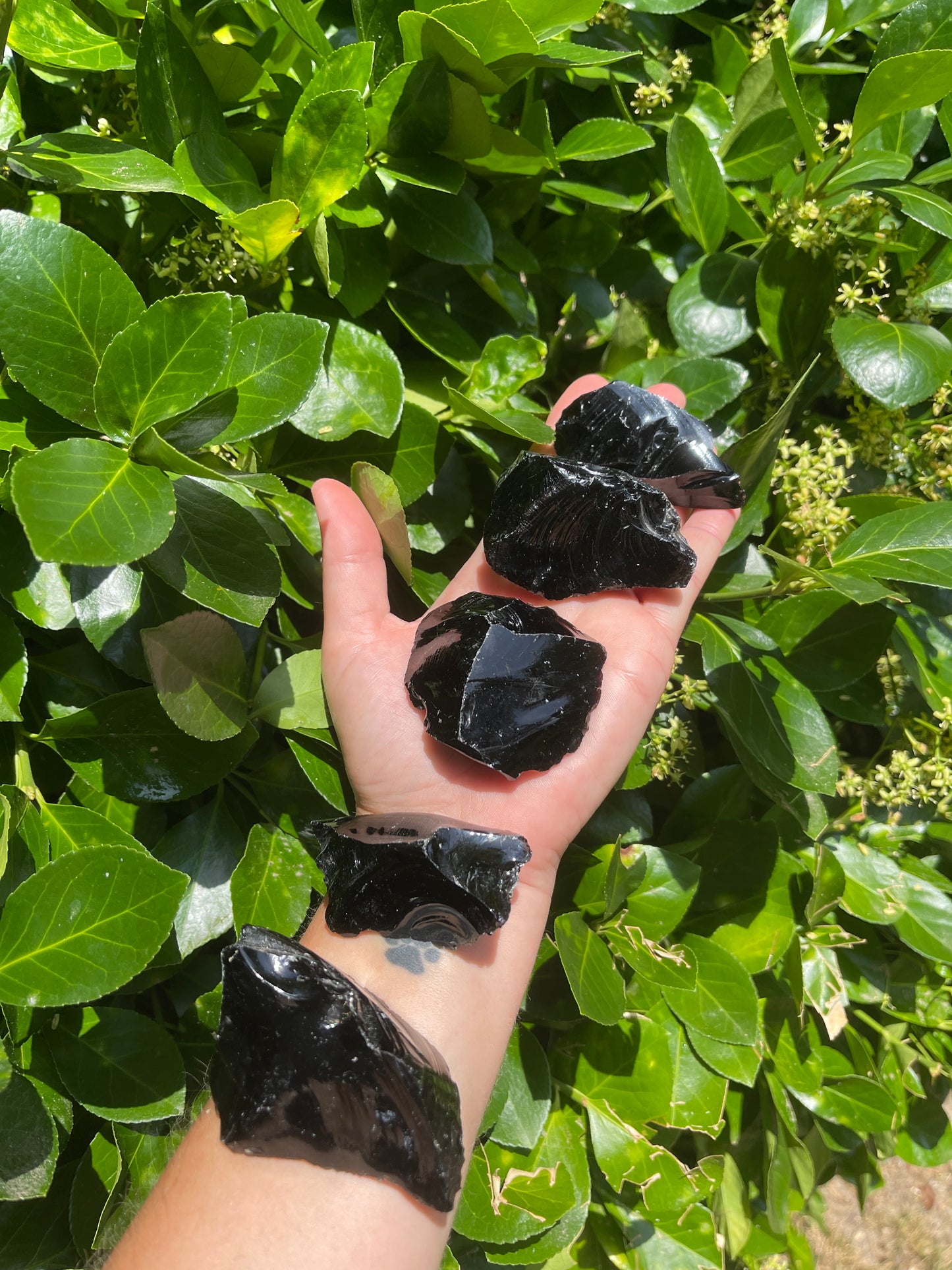 Raw Black Obsidian
