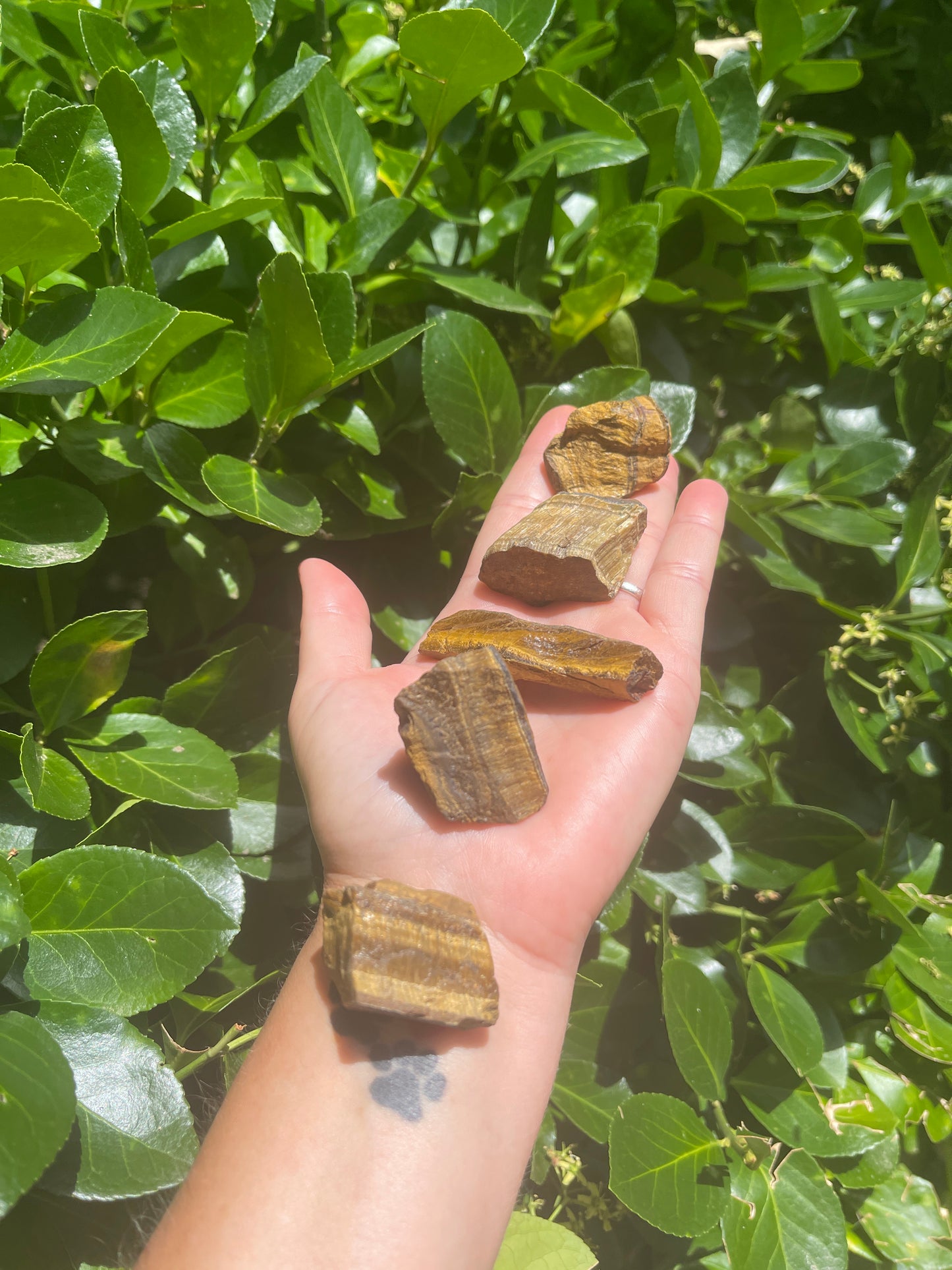 Raw Tiger Eye