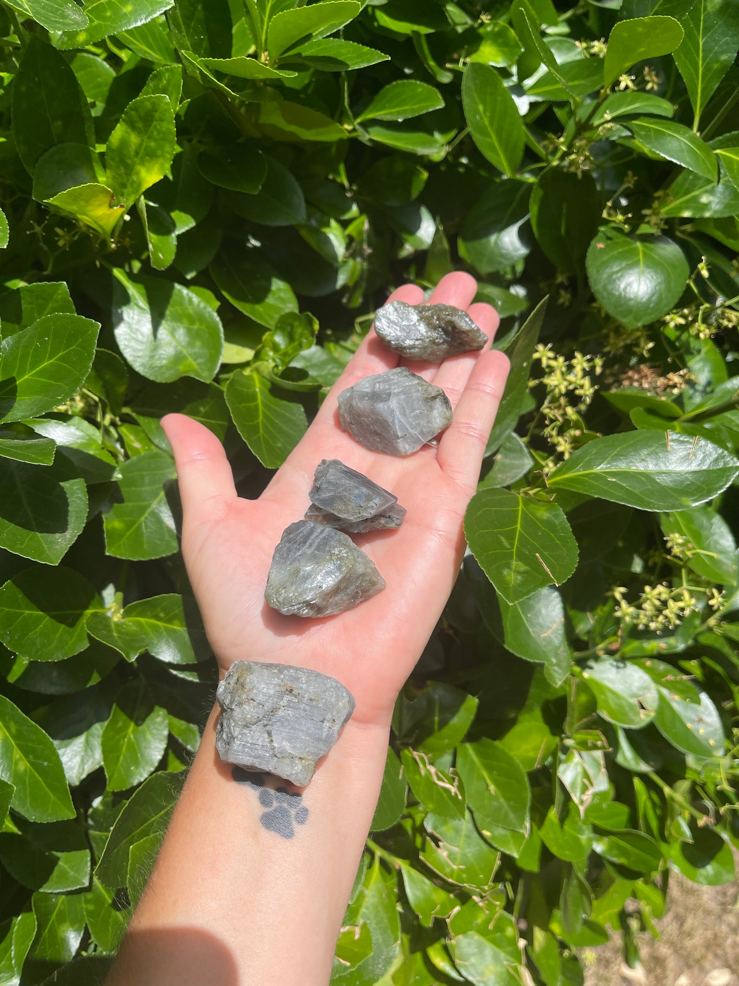 Raw Labradorite