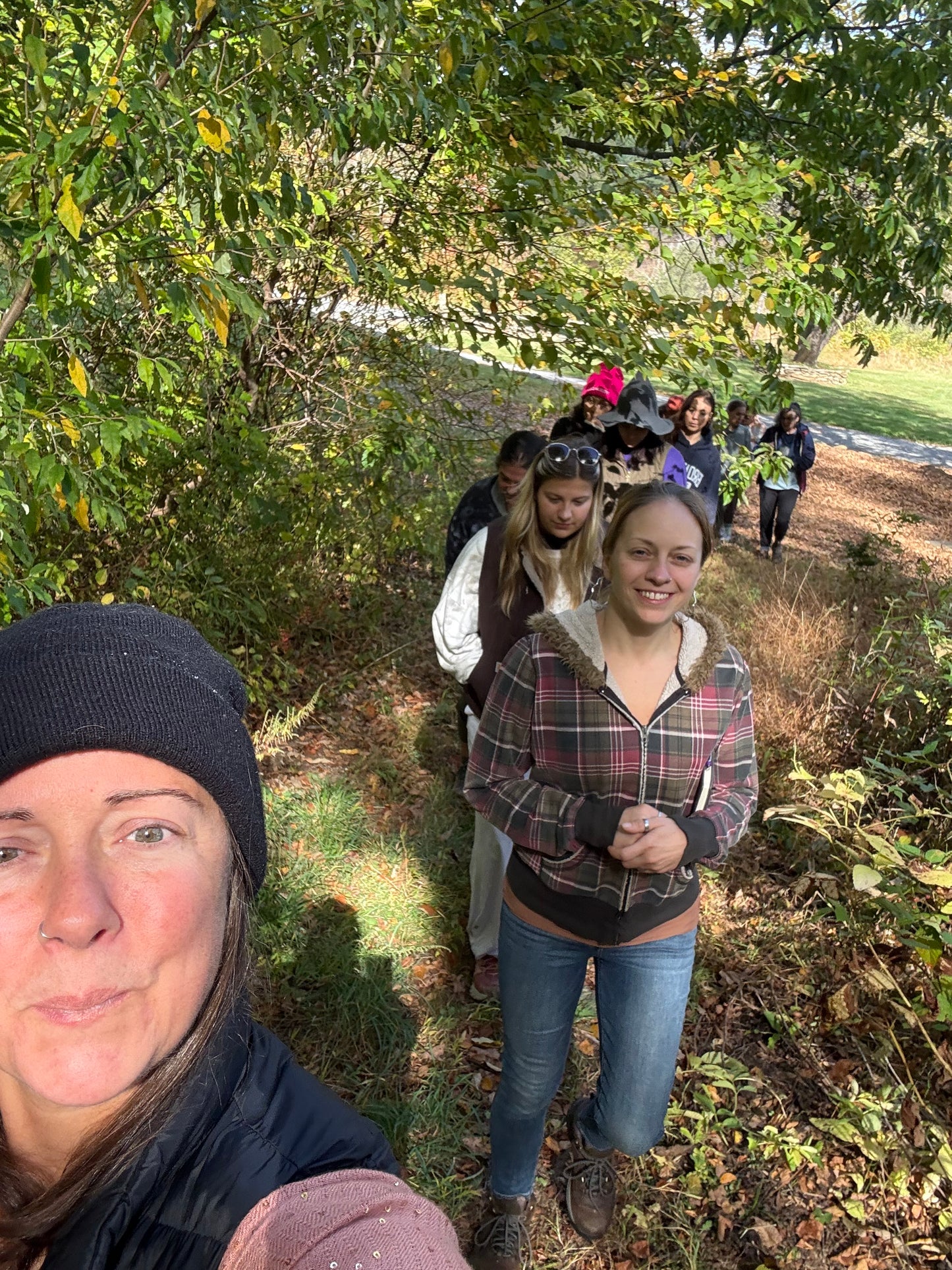 Forest Bathing
