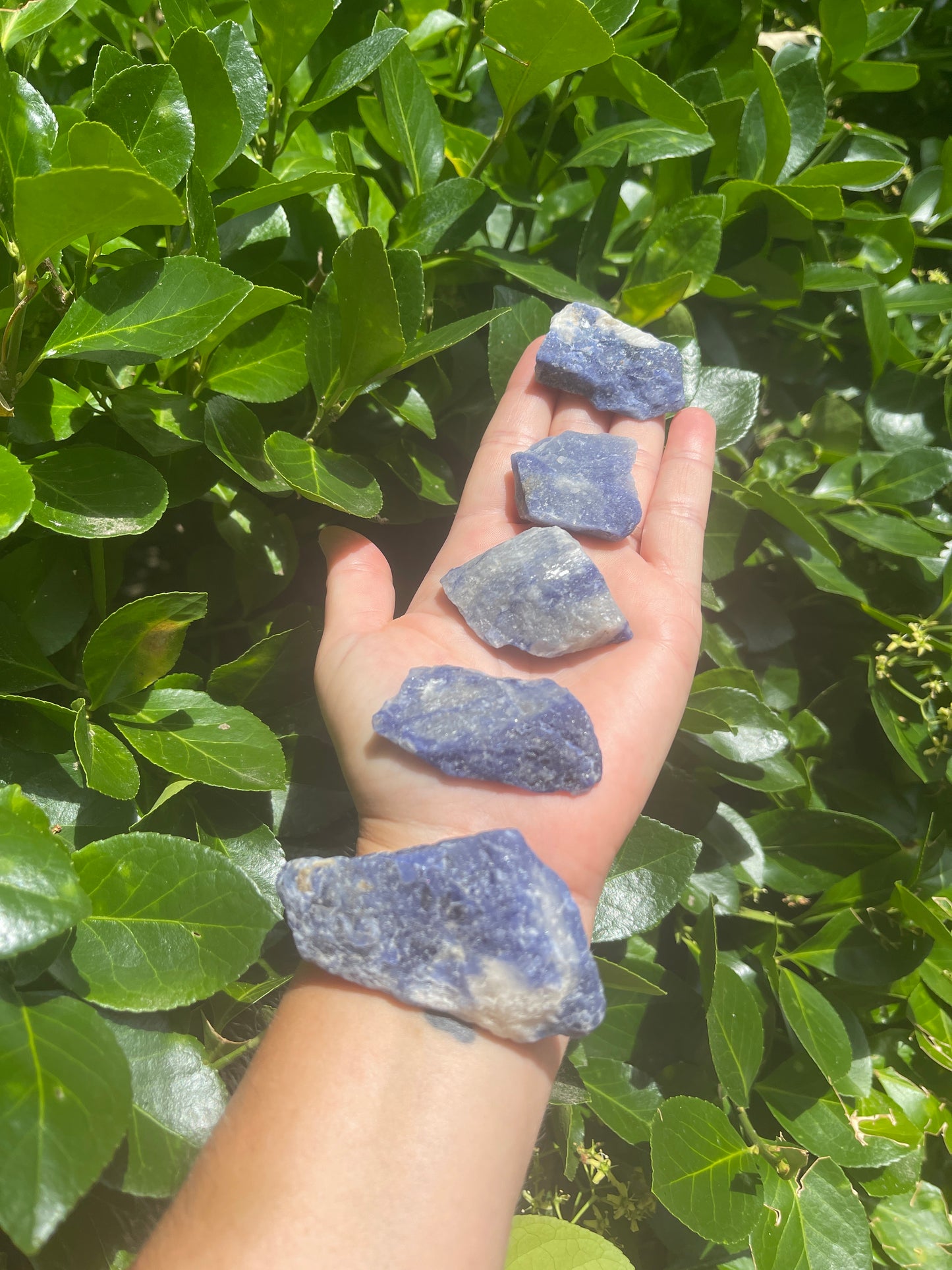 Raw Sodalite