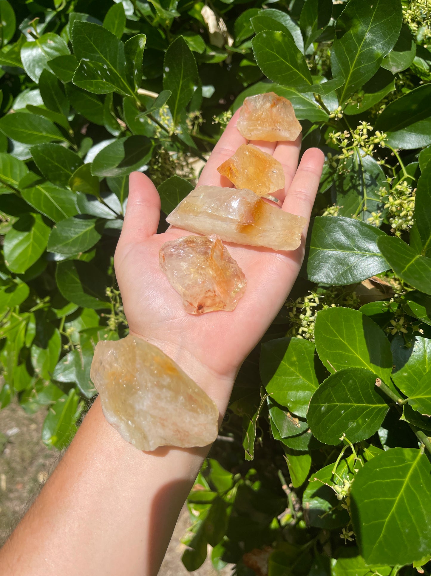 Raw Citrine