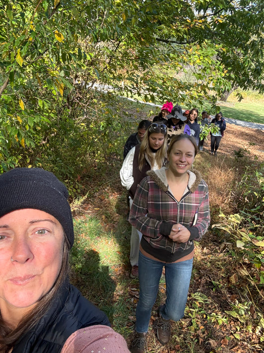 Forest Bathing